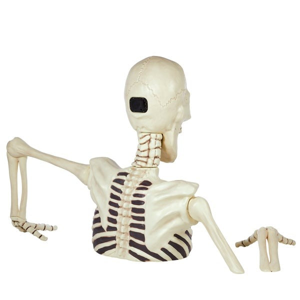 Giant Ground Breaking Skeleton